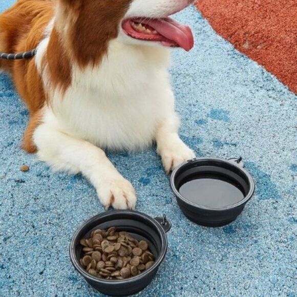 COLLAPSIBLE DOG/CAT TRAVEL BOWL  - Picture 4 of 8